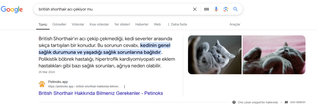 referanslar petinoks app