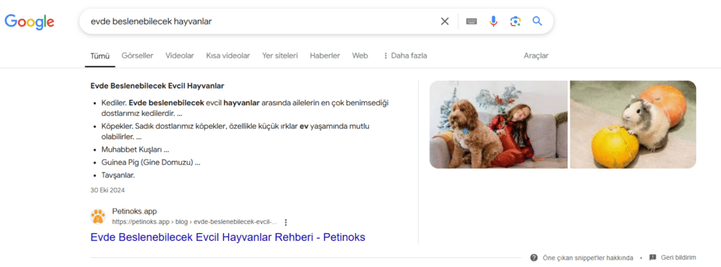 referanslar petinoks app